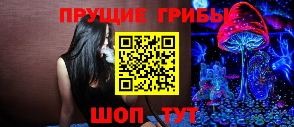 Аксай  Псилоцибиновые грибы GOLDEN TEACHER  Вход с VPN 